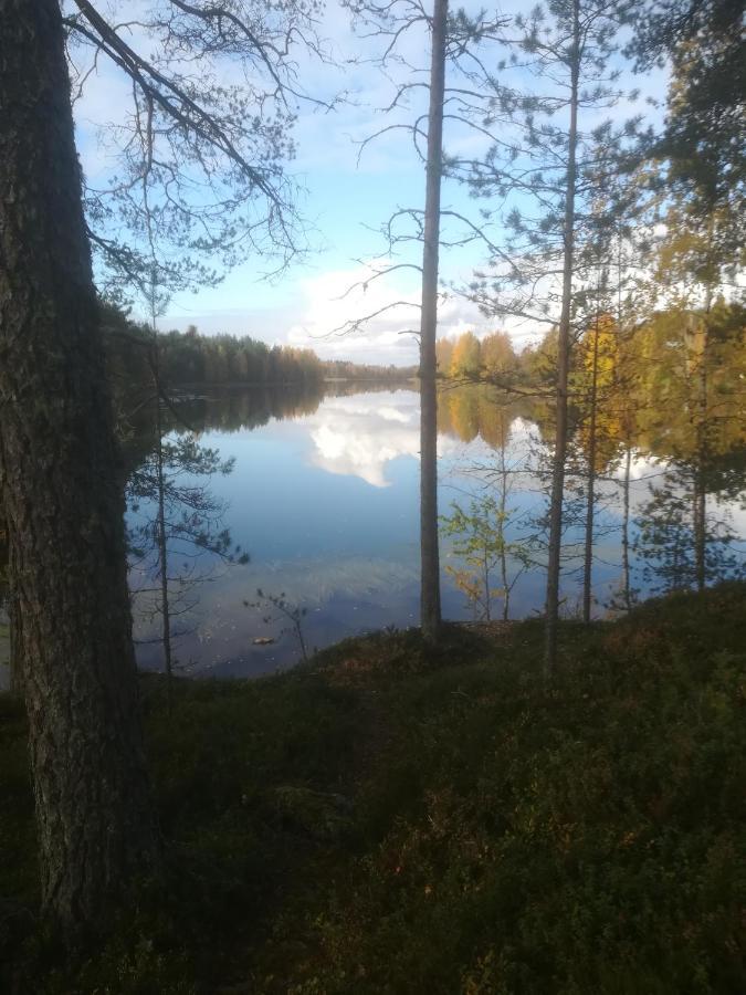 Tiirantuvat Villa Juankoski ภายนอก รูปภาพ