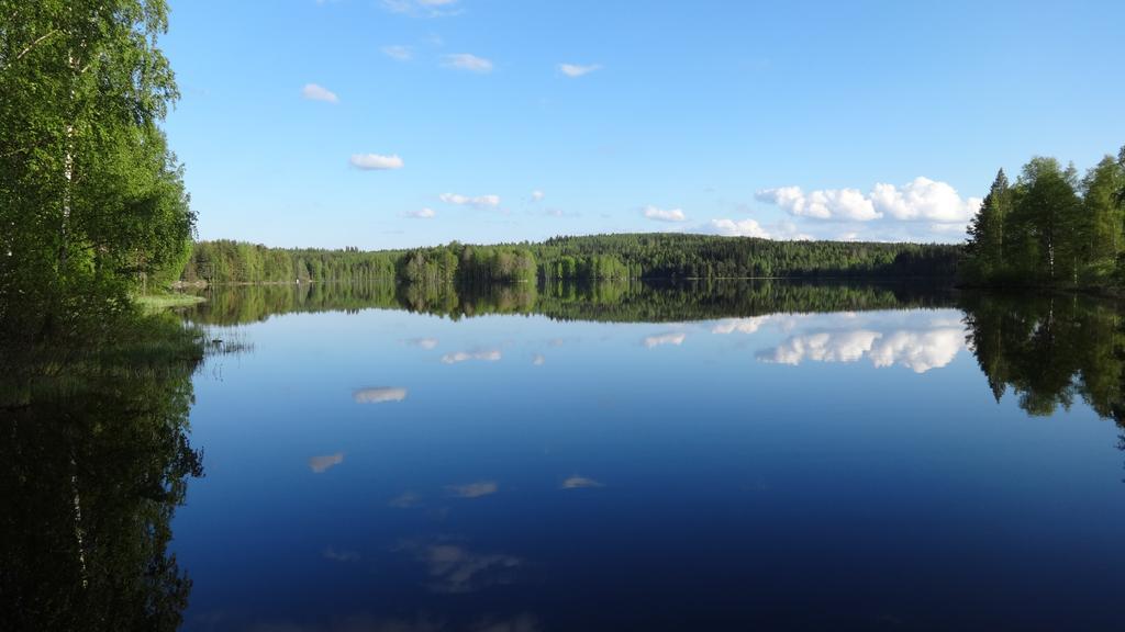 Tiirantuvat Villa Juankoski ภายนอก รูปภาพ